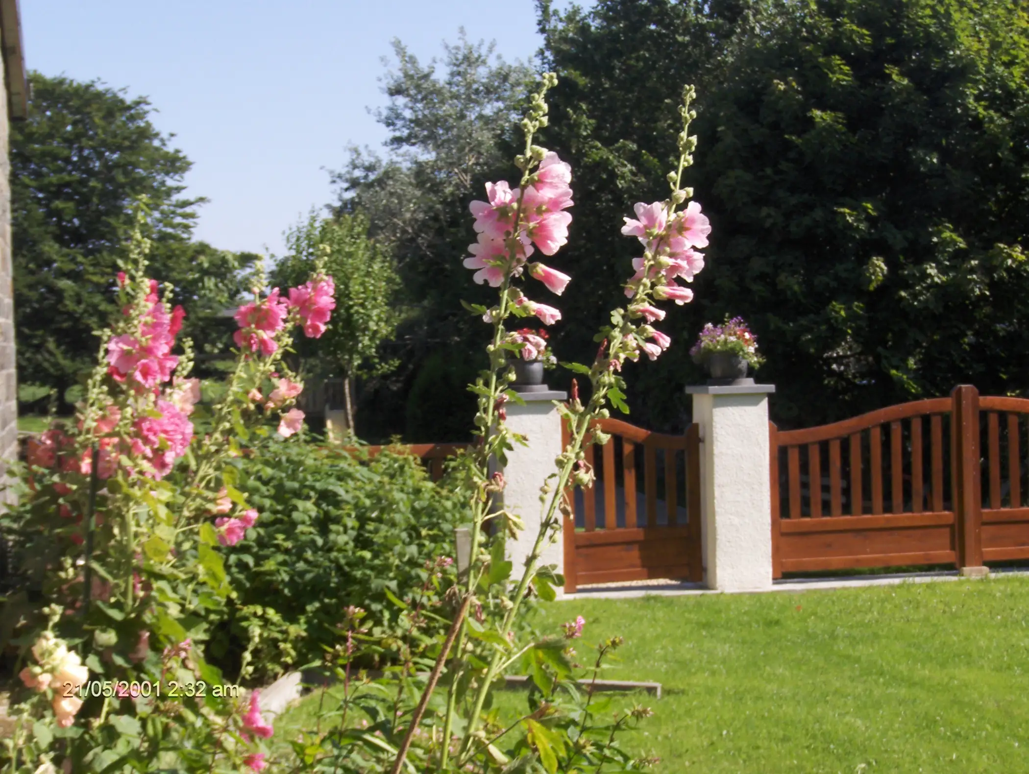 Vakantiehuis  voor 8 mensen in Tenneville Au Potager